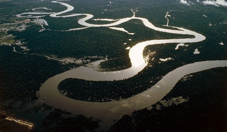 Fiscalia Crea Equipo Especializado Para Desmantelar Mafias Que Deforestan La Cuenca Amazonica