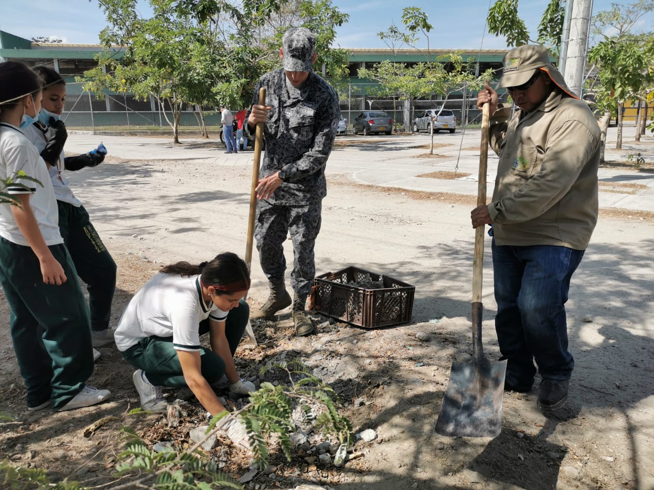 plantasladorada